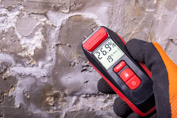 Trusted Freer, TX Mold Removal Experts