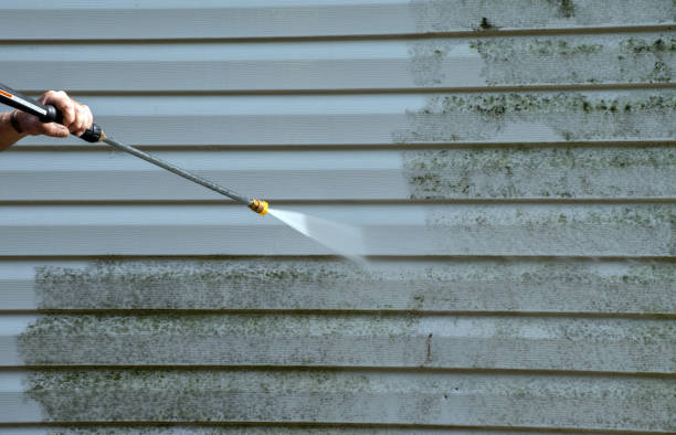 Best Attic Mold Removal  in Freer, TX