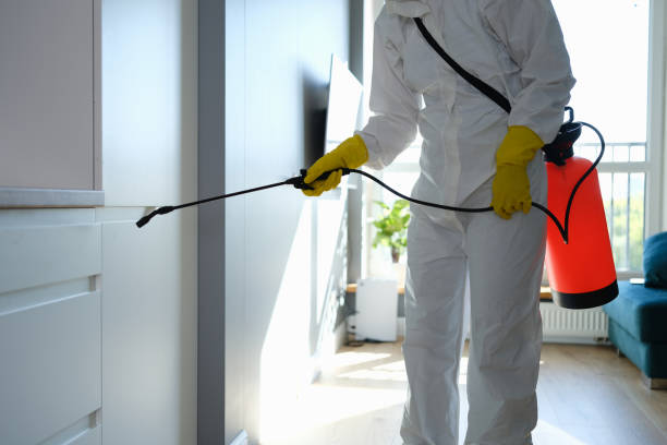 Best Certified Mold Removal  in Freer, TX