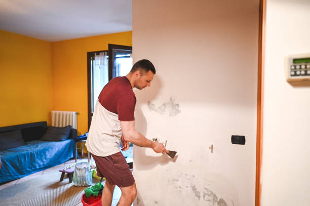 Mold Testing and Removal in Freer, TX